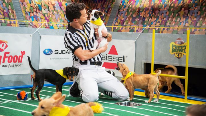 Super Bowl-Puppy Bowl